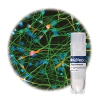 StemRNA-Neuro