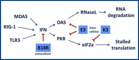 factors-to-consider-when--fig01