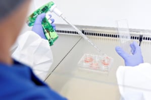 lab-worker