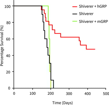 Graph showing how GRPs can increase myelination in disease model mice-1